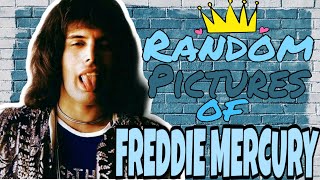 Freddie Mercury Random Pictures
