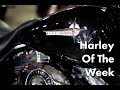 Gus wolf shows off a gorgeous harley street glide