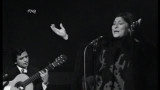 Mercedes Sosa - Cuando tenga la tierra en directo, (en directo, 10.03.1976)