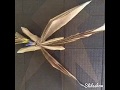 Origami Ancient Dragon Process Satoshi Kamiya Origami Ancient Dragon Process Satoshi Kamiya