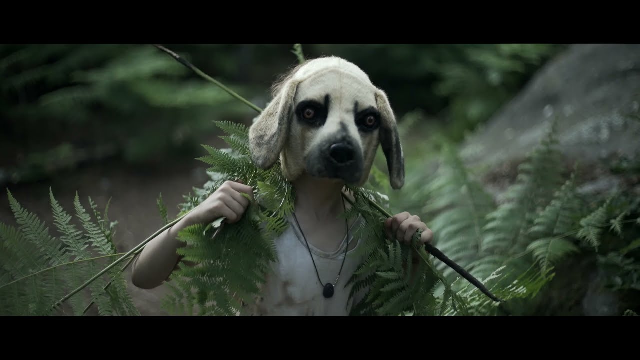 Watch Emily Loizeau - Renversé (Clip Officiel) on YouTube