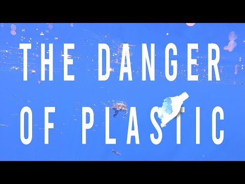 OCEAN CARBON AND THE DANGER OF PLASTIC