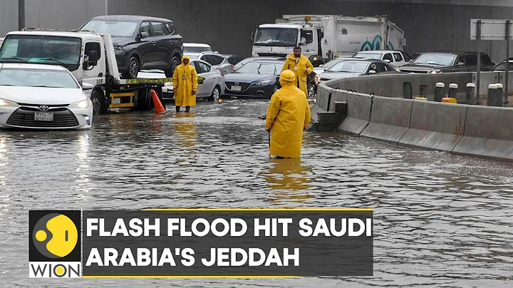 WION Climate Tracker: Flash flood hit Saudi Arabia's Jeddah after heavy rainfall | World News | WION - DayDayNews