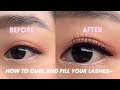 How to curl and fill your straight asian eyelashes !!