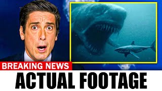Giant Great White Shark Eaten By MONSTER- Mystery Finally Solved