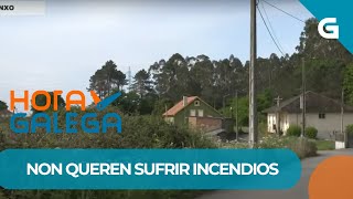 🌳 Veciños de ARAÑO piden que LIMPEN a MALEZA das FINCAS