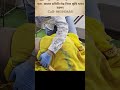 backpain #chiropractic #chiropractor #india #bihar #shorts #viral #buxar #top #doctor #trending #yt