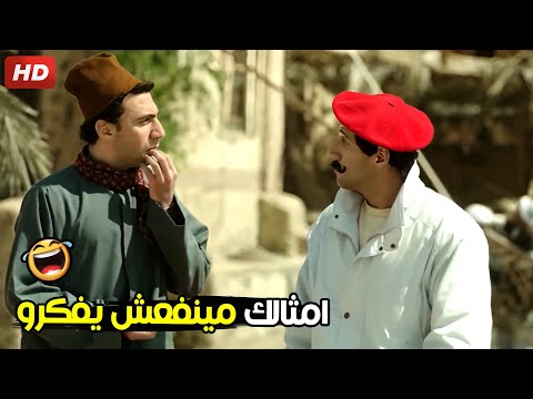 انت اخرك يا هجرس تجيب جاموستين و تقف بيهم تحت اي شجره في المزاريطه ضحك هيستيري من غباء هجرس