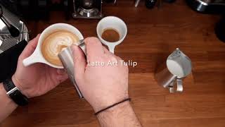 Latte Art Tulip