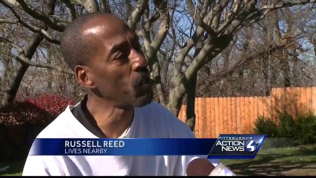 Police: Dead pit bull leads to more dogfighting evidence, man's arrest