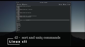 Linux CLI 42 🐧 sort and uniq commands