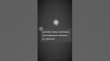 ChatGPT придумала 7 абсурдных бизнес идей, которые принесут миллионы