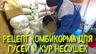 Готовим комбикорм для гусей и кур несушек//Рацион гусей в плем.период