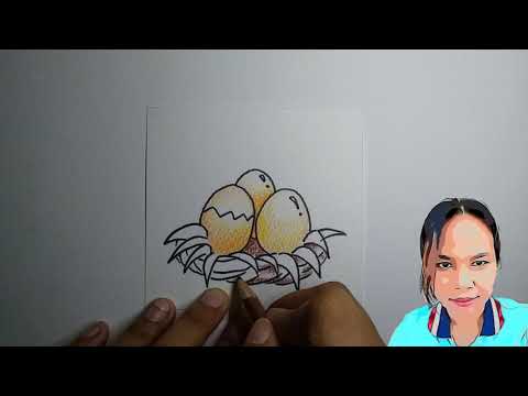 วีดีโอ: ทานตะวันรูปไข่