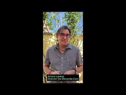 Que vas a encontrar en Planeta Sostenible