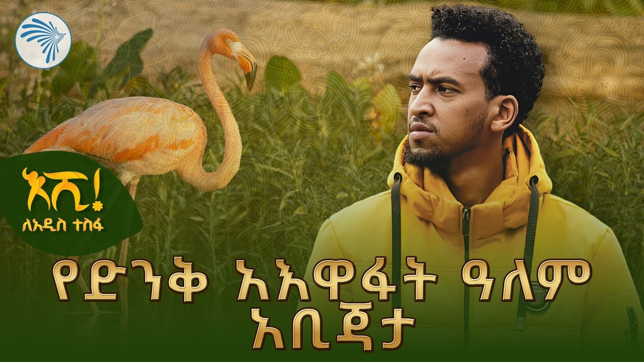 በአእዋፋት ዓለም አዝናኝ ቆይታ  @ArtsTvWorld