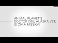 Last week tonight  and now this animal planets doctor dee alaska vet is on a mission