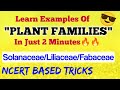 Learn PLANT FAMILIES In 2 Minutes😎| Solanaceae, Liliaceae, Fabaceae | Ncert Based Tricks | Neet 2021