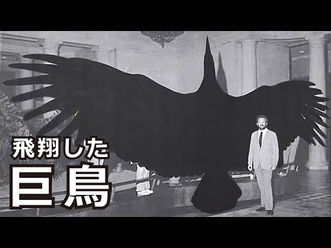 【解説】巨鳥～ペラゴルニス・サンデルシとアルゲンタヴィス・マグニフィケンス～