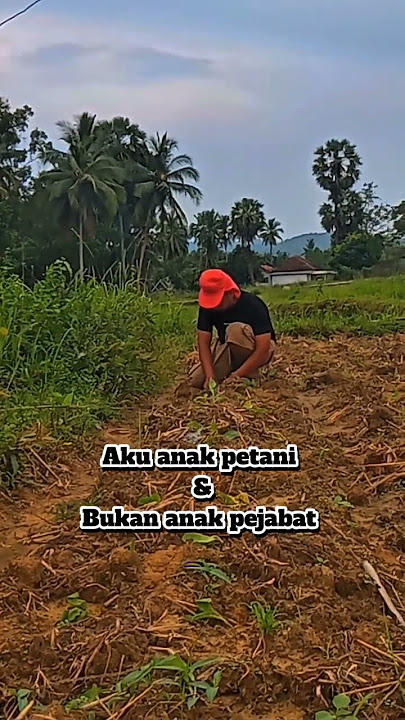 aku anak petani & bukan anak pejabat #fypシ゚viral