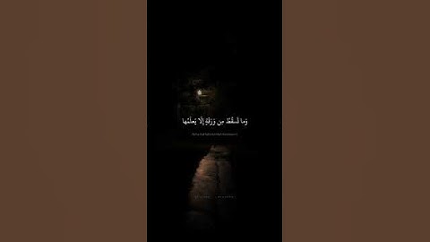 وَعِندَهُ مَفاتِحُ الغَيبِ لا يَعلَمُها إِلّا هُوَ | محمد صديق المنشاوي | سورة الأنعام