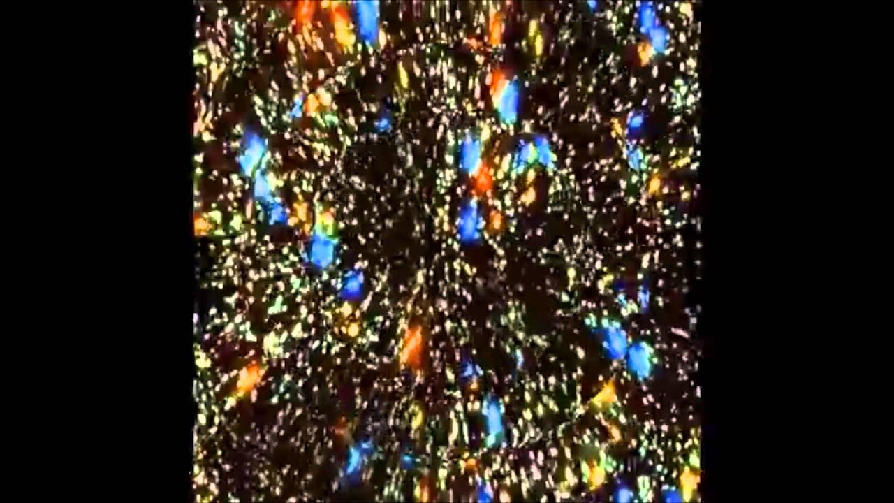 Growth - STFU (official video)