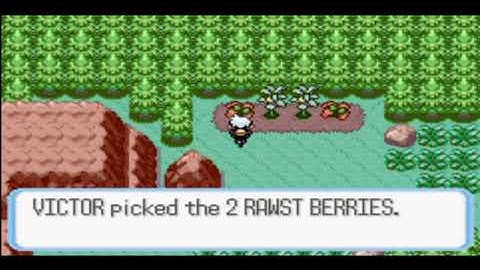 Pokemon Ruby Walkthrough Part 11