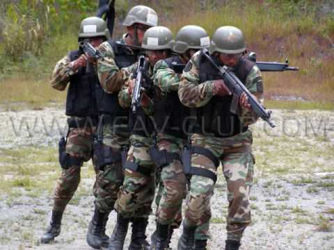 Resultado de imagen para COMANDO SEBIN
