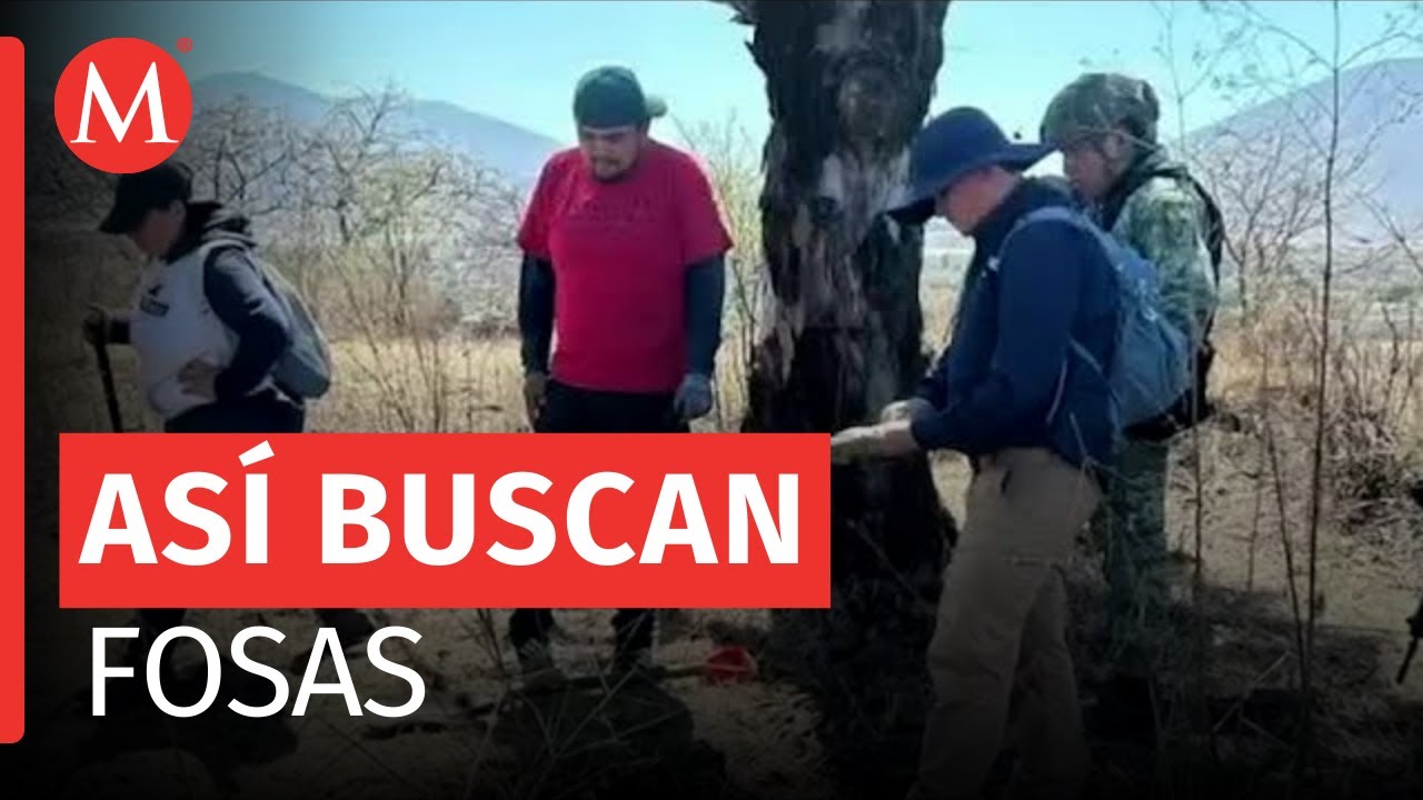Buscadoras de Tamaulipas piden tregua con el narco para "pacificar el país"