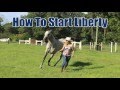 How To Start Liberty Training (The Basics) How To Start Liberty Training (The Basics)