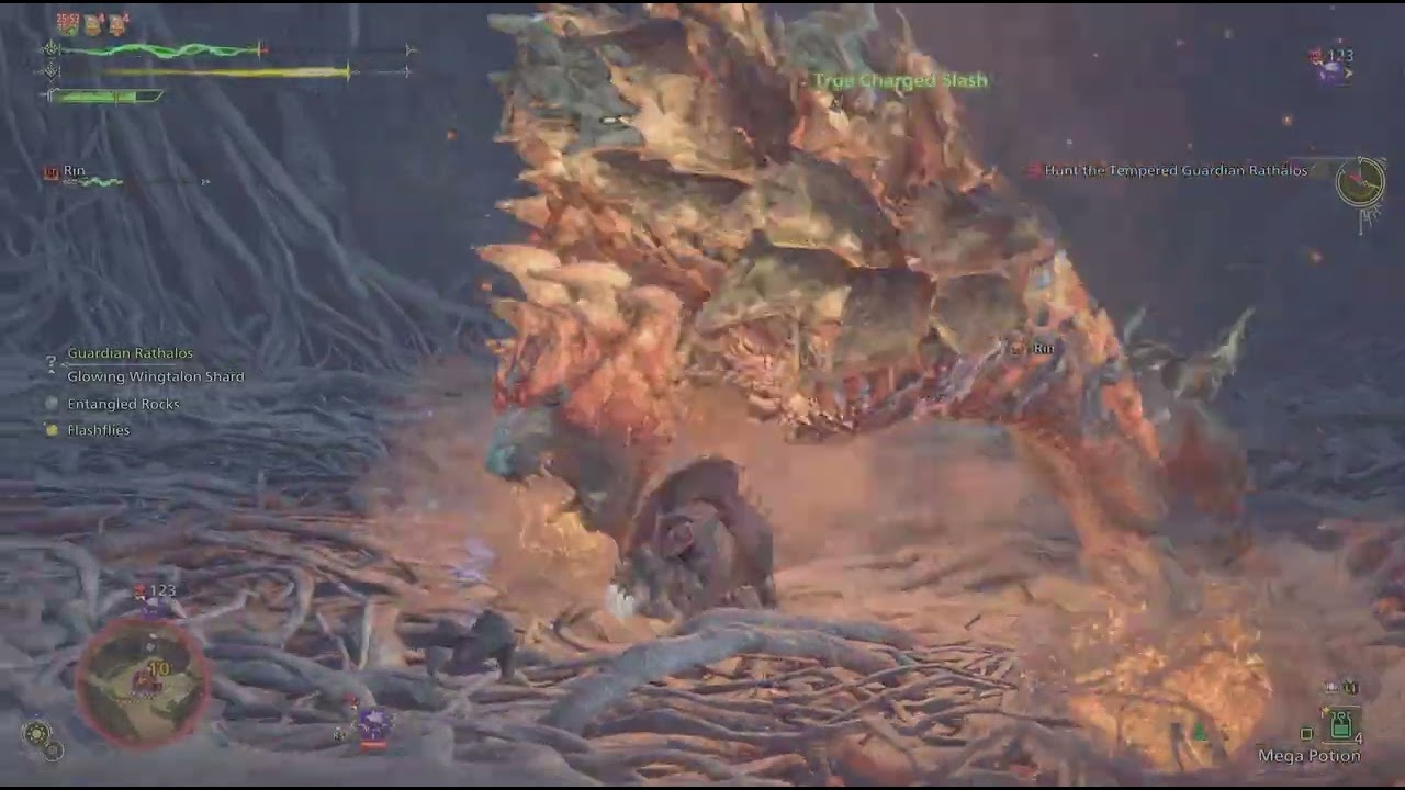 Exciteshroom and the Entangled Rocks.