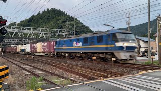 2064レ EF210-330号機 富士川駅通過