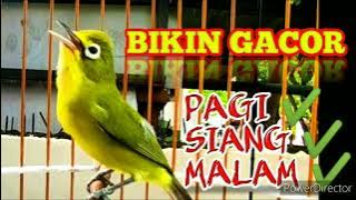 Mp3 100% ampuh buat anda langsung jos gacor 