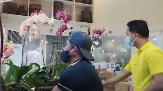 bloomwoods flower shop partime
