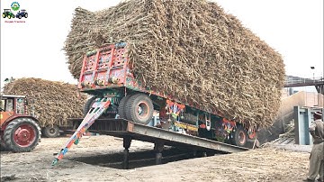 Belarus 510.1 | Hydraulic Unloading System of Sugarcane loaded Trailer