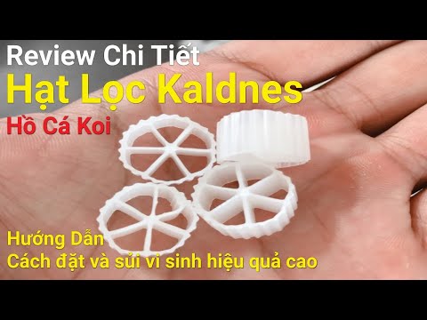 Video HẠT LỌC KALDNES HỒ CÁ KOI | Review Chi Tiết | Hướng... - youtube