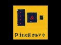 Pinegrove - Need 2 (Instrumental)