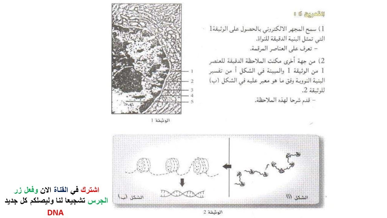 تمارين حول الخلية وال adn للسنة الثانية ثانوي