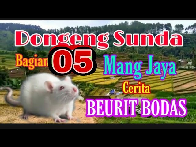 Dongeng Sunda Mang Jaya Cerita BEURIT BODAS bagian ke 05 class=