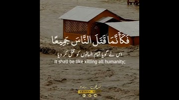 🤍✨ومن أحياها فكأنما أحيا الناس جميعا🌐 سورة المائدة:٣٢|طارق محمد|Surah al Ma'idah:32|Tareq Mohammed