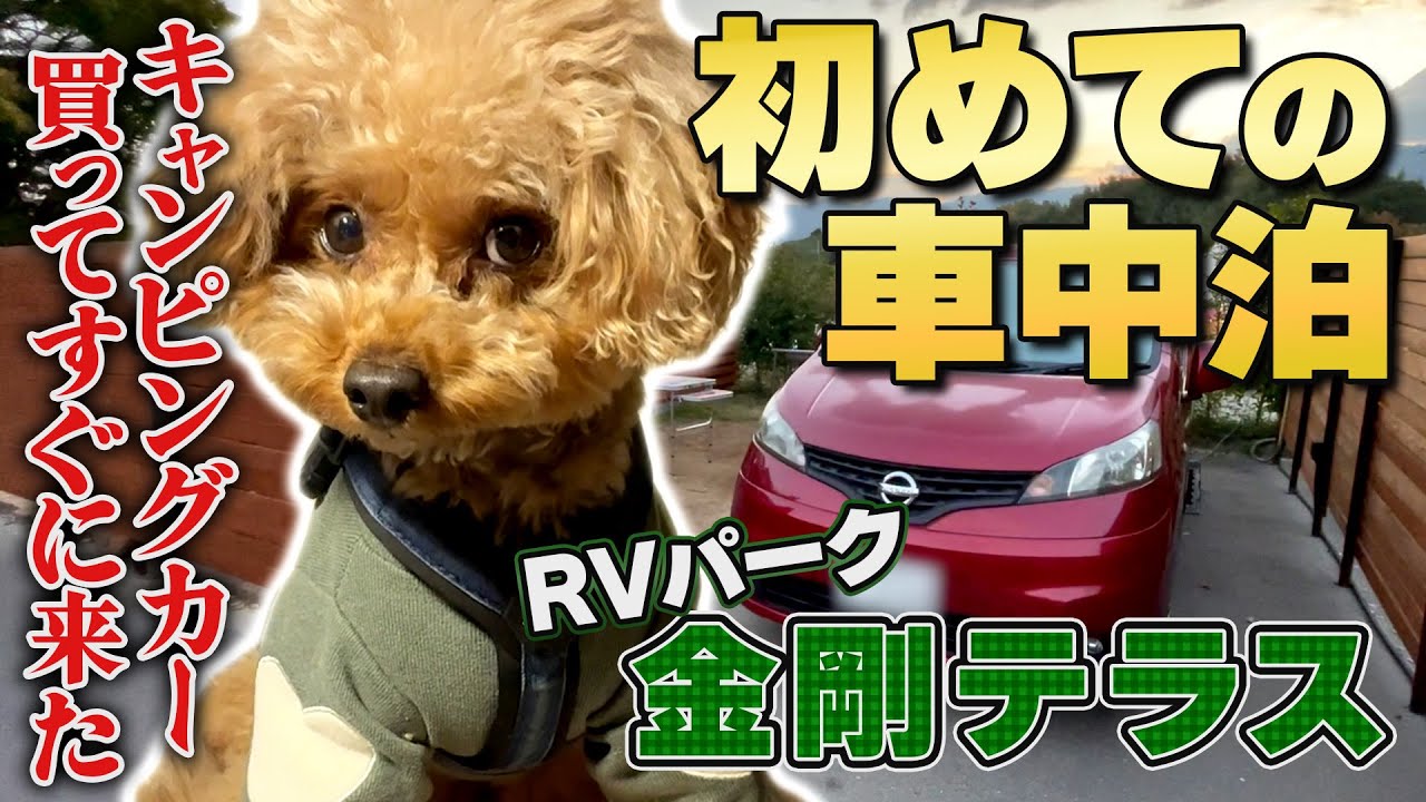 【トイプードルのテト】初めての車中泊！RVパークへ行ってみた『金剛テラス』大阪府富田林市