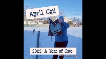 April Cat by Ashlee Brotzell #interlockingcrochet