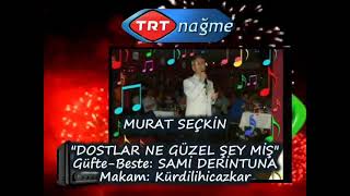 Murat SEÇKİN - \