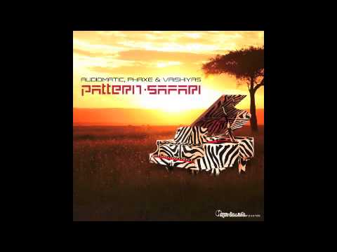 Official - Audiomatic x Vaishiyas - Pattern Safari