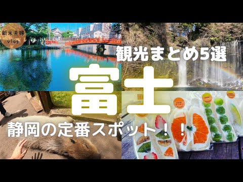【観光vlog】静岡に転勤した夫婦が紹介するおすすめスポット5選!富士サファリパークから始まる定番コースを紹介♪
