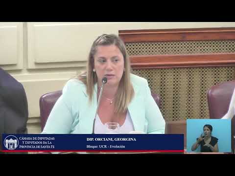 INTERVENCION DIPUTADA ORCIANI