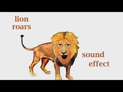 lions roar - sound effect - video Dailymotion