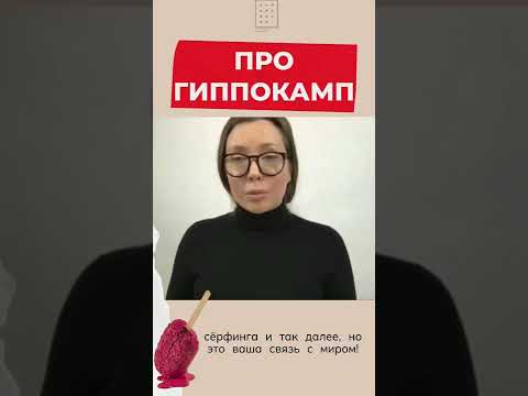 Про гиппокамп