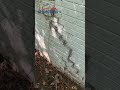 Point Dekter Found THIS Foundation Problem 👀🧱 | Concord, NC Home Inspection