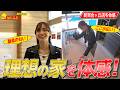 【新百合ヶ丘店】新店舗に潜入!理想の住まいを丸ごと体験【初めての不動産・課外学習編】